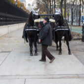  Sproing Pics (18/38)